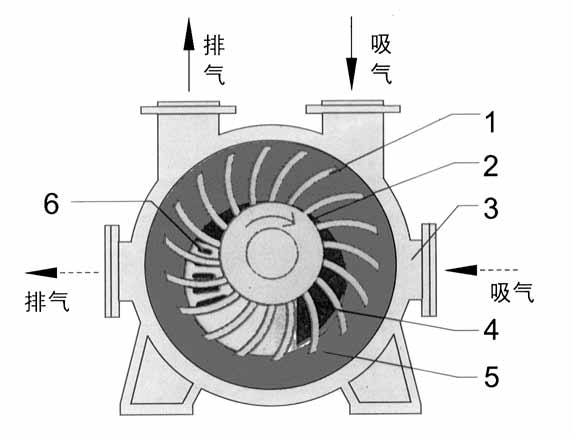 2BE1水环式c7最新·(中国)官方网站结构图